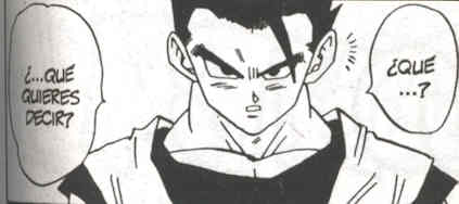 gohan4.jpg