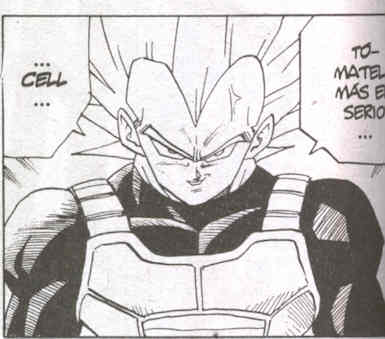 vegeta4.jpg