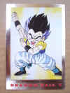 dbz_2serie1.jpg (61698 bytes)