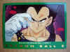 dbz_5serie1.jpg (60076 bytes)